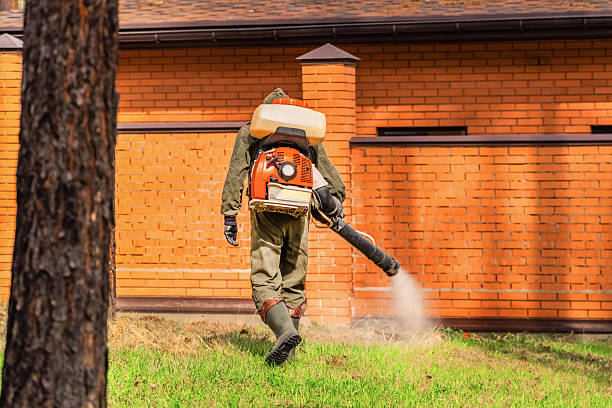 Bed Bug Clearance Verification and Documentation in Turner